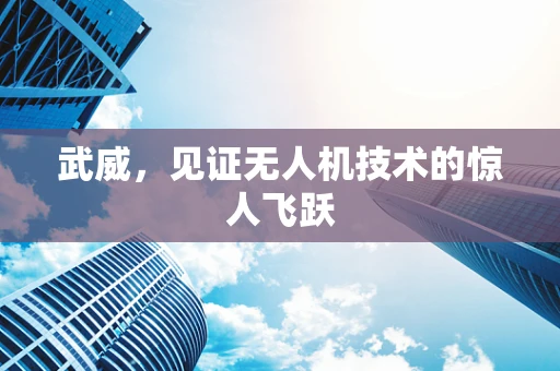 武威，见证无人机技术的惊人飞跃