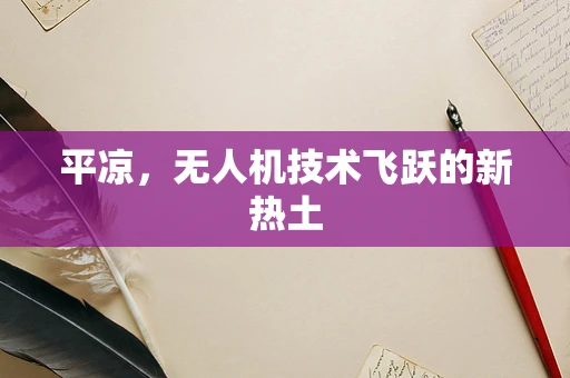 平凉，无人机技术飞跃的新热土