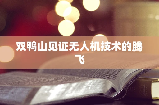 双鸭山见证无人机技术的腾飞