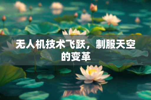 无人机技术飞跃，制服天空的变革