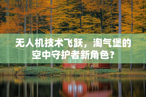 无人机技术飞跃，淘气堡的空中守护者新角色？