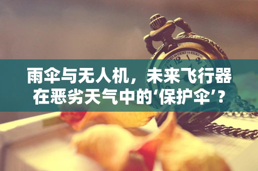 雨伞与无人机，未来飞行器在恶劣天气中的‘保护伞’？