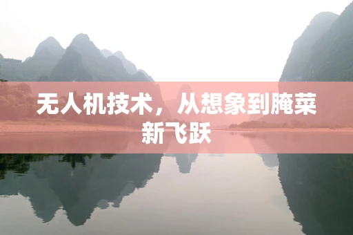 无人机技术，从想象到腌菜新飞跃