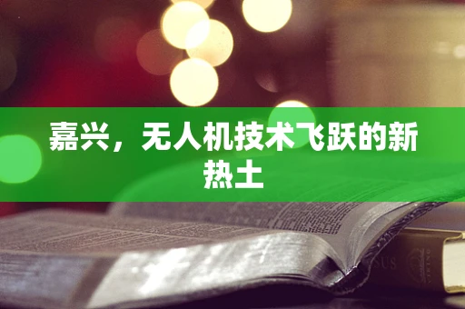 嘉兴，无人机技术飞跃的新热土