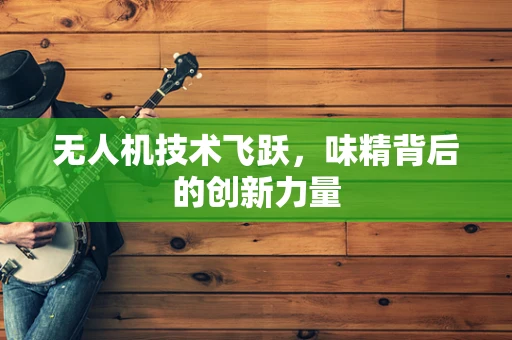 无人机技术飞跃，味精背后的创新力量