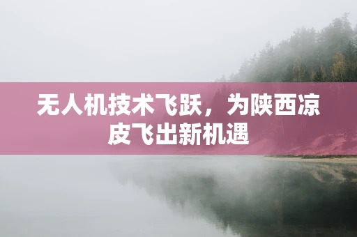 无人机技术飞跃，为陕西凉皮飞出新机遇