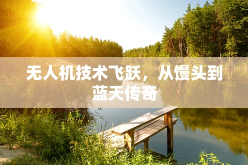 无人机技术飞跃，从馒头到蓝天传奇