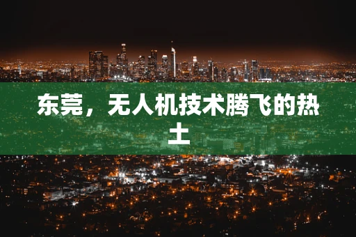 东莞，无人机技术腾飞的热土