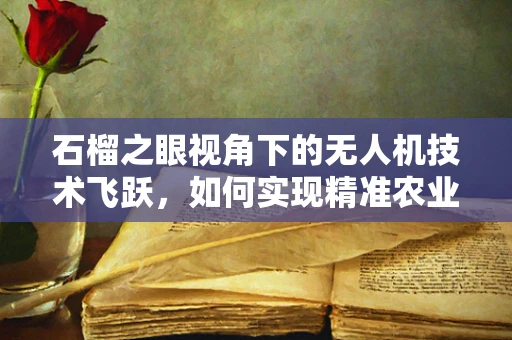 石榴之眼视角下的无人机技术飞跃，如何实现精准农业监测的智能升级？