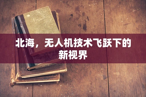 北海，无人机技术飞跃下的新视界