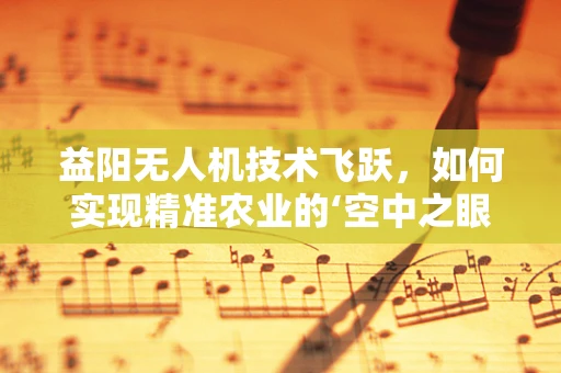 益阳无人机技术飞跃，如何实现精准农业的‘空中之眼’？