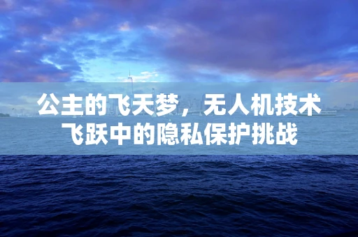 公主的飞天梦，无人机技术飞跃中的隐私保护挑战