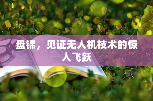 盘锦，见证无人机技术的惊人飞跃