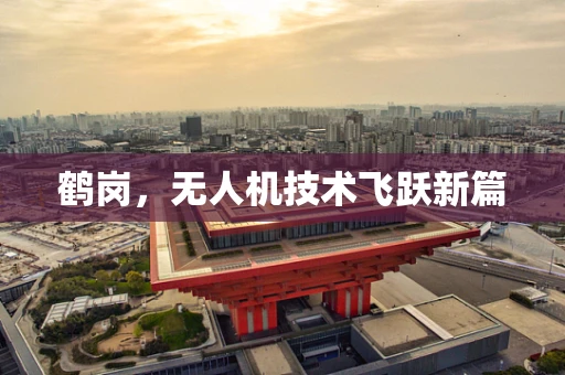 鹤岗，无人机技术飞跃新篇