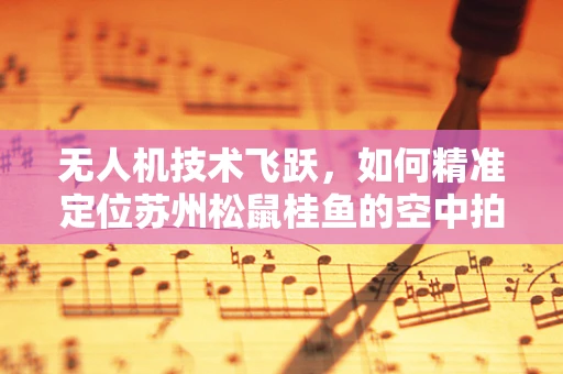 无人机技术飞跃，如何精准定位苏州松鼠桂鱼的空中拍摄？