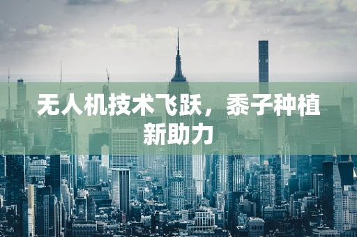 无人机技术飞跃，黍子种植新助力