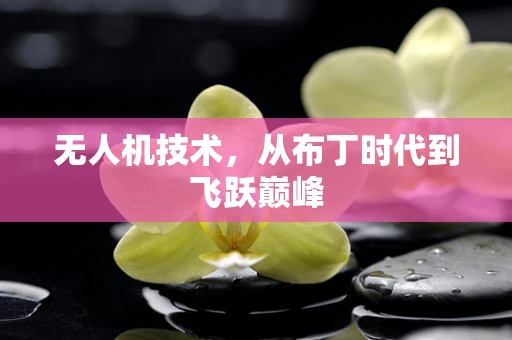 无人机技术，从布丁时代到飞跃巅峰