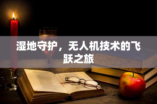 湿地守护，无人机技术的飞跃之旅