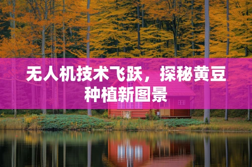 无人机技术飞跃，探秘黄豆种植新图景