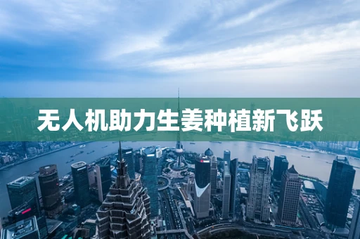 无人机助力生姜种植新飞跃