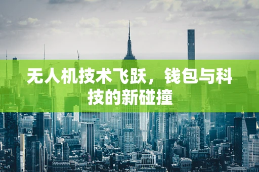 无人机技术飞跃，钱包与科技的新碰撞