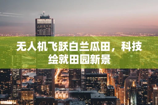 无人机飞跃白兰瓜田，科技绘就田园新景