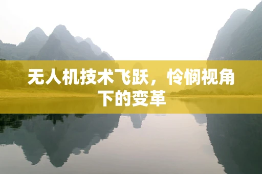 无人机技术飞跃，怜悯视角下的变革