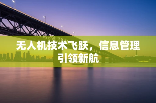 无人机技术飞跃，信息管理引领新航