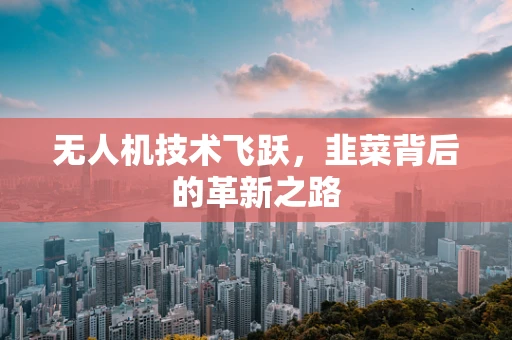 无人机技术飞跃，韭菜背后的革新之路