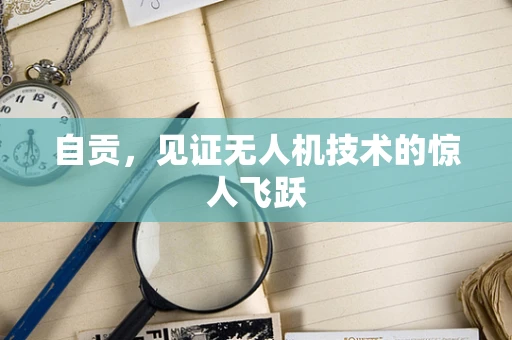 自贡，见证无人机技术的惊人飞跃