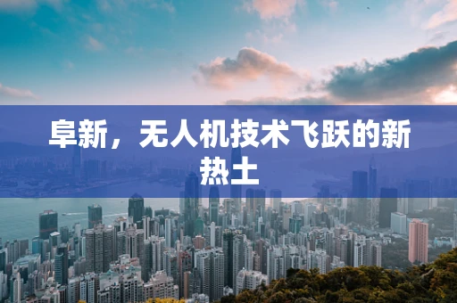 阜新，无人机技术飞跃的新热土
