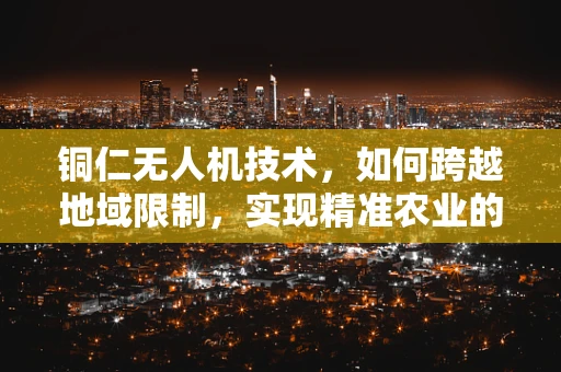 铜仁无人机技术，如何跨越地域限制，实现精准农业的飞跃？
