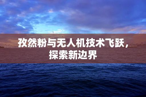孜然粉与无人机技术飞跃，探索新边界