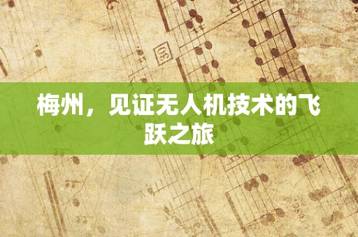 梅州，见证无人机技术的飞跃之旅