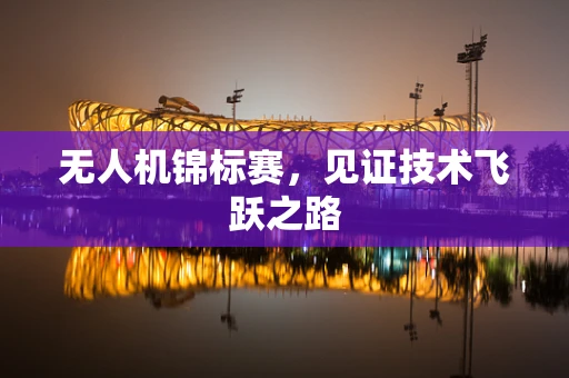 无人机锦标赛，见证技术飞跃之路