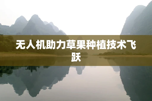 无人机助力草果种植技术飞跃