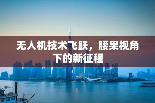 无人机技术飞跃，腰果视角下的新征程