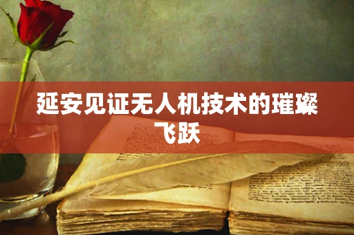 延安见证无人机技术的璀璨飞跃