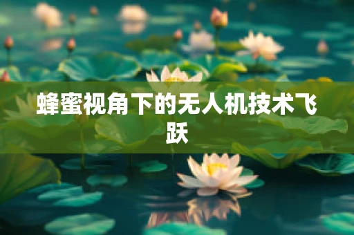蜂蜜视角下的无人机技术飞跃