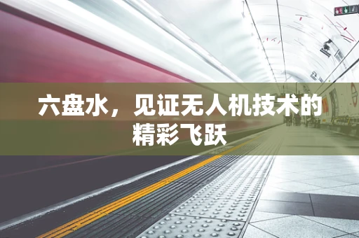六盘水，见证无人机技术的精彩飞跃
