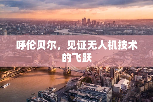 呼伦贝尔，见证无人机技术的飞跃