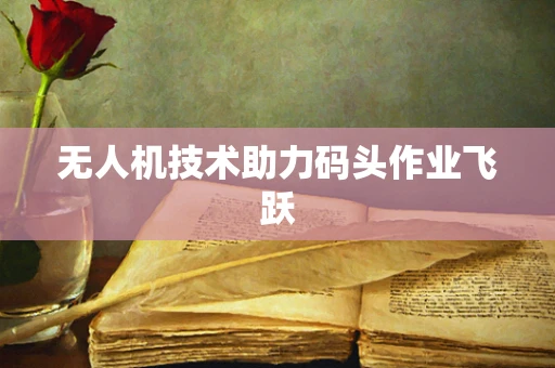 无人机技术助力码头作业飞跃