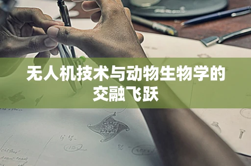 无人机技术与动物生物学的交融飞跃