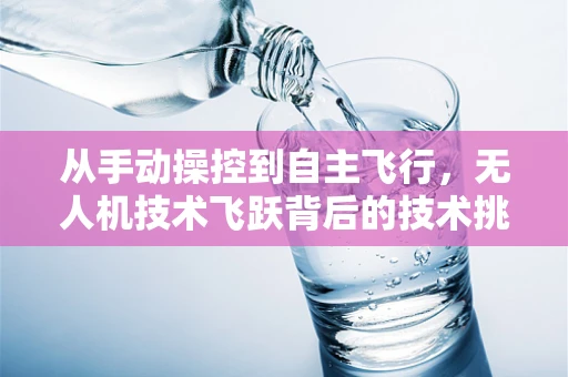 从手动操控到自主飞行，无人机技术飞跃背后的技术挑战与敬佩