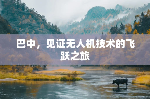 巴中，见证无人机技术的飞跃之旅