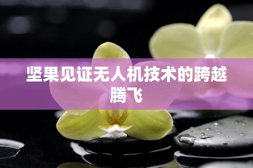 坚果见证无人机技术的跨越腾飞