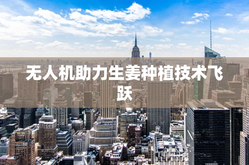 无人机助力生姜种植技术飞跃