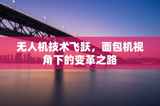 无人机技术飞跃，面包机视角下的变革之路