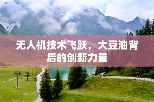 无人机技术飞跃，大豆油背后的创新力量