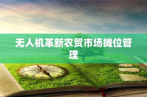 无人机革新农贸市场摊位管理